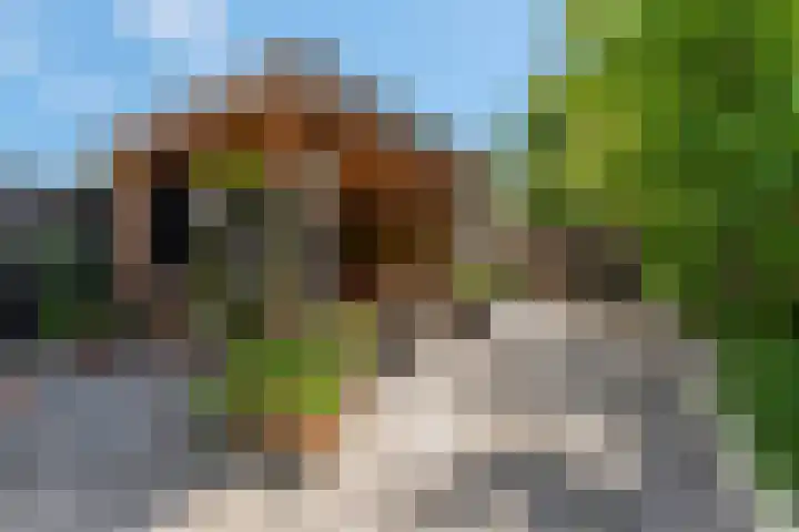 Spinozastate 43 Ede thumbnail 29