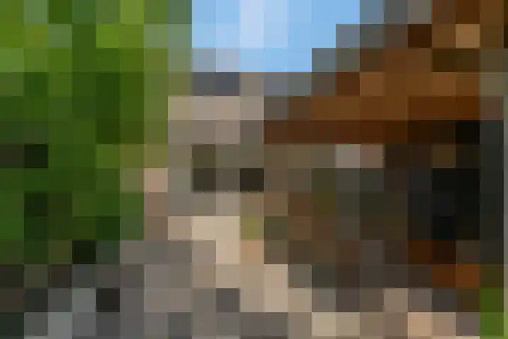 Spinozastate 43 Ede thumbnail 33