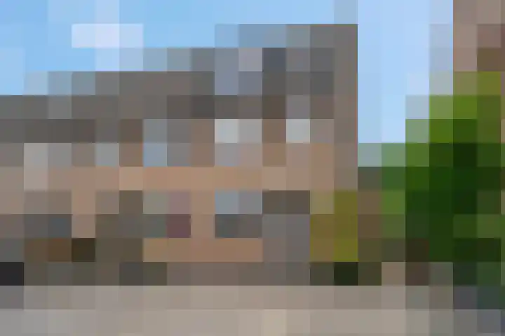 Spinozastate 43 Ede thumbnail 36