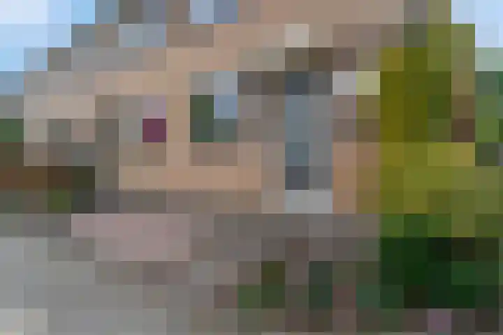 Spinozastate 43 Ede thumbnail 37