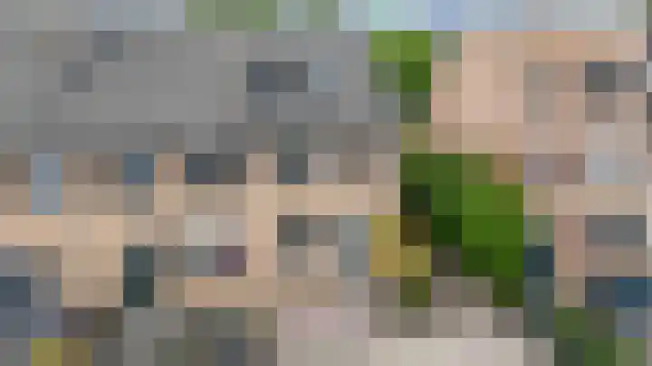 Spinozastate 43 Ede thumbnail 38