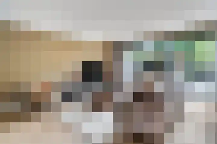 Spinozastate 43 Ede thumbnail 4