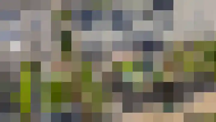 Spinozastate 43 Ede thumbnail 40