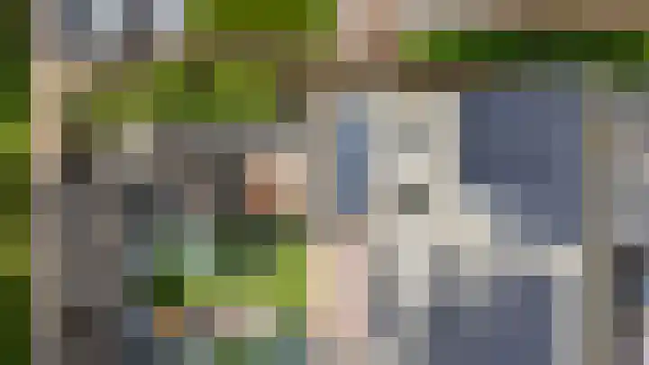 Spinozastate 43 Ede thumbnail 42