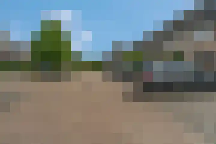 Spinozastate 43 Ede thumbnail 43