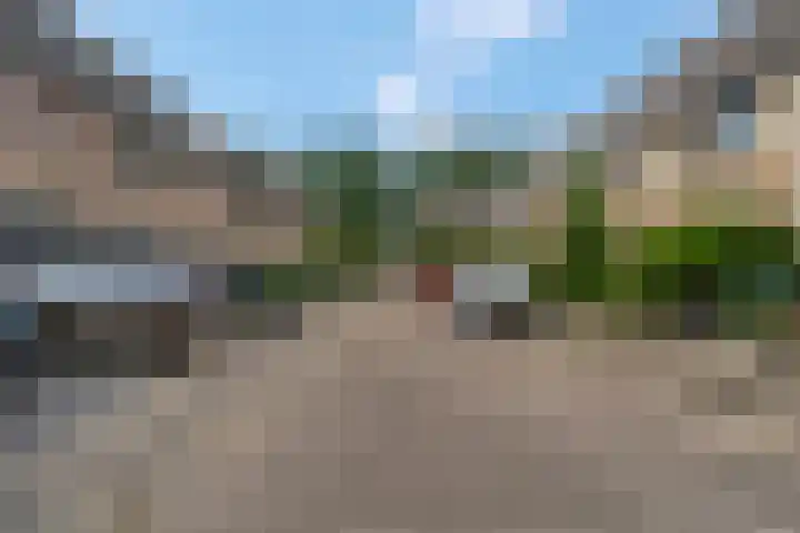 Spinozastate 43 Ede thumbnail 44