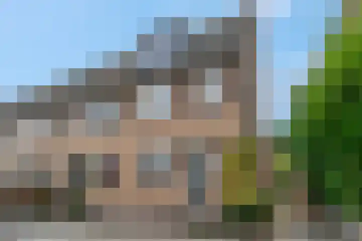 Spinozastate 43 Ede thumbnail 51