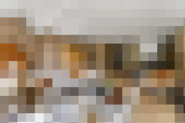 Spinozastate 43 Ede thumbnail 6