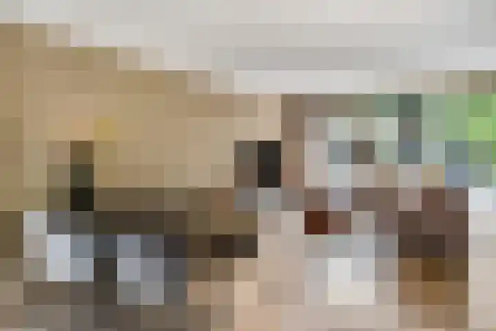 Spinozastate 43 Ede thumbnail 7