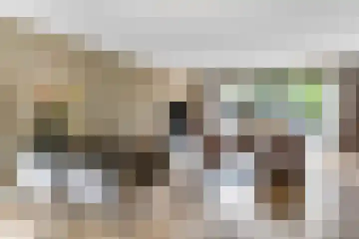 Spinozastate 43 Ede thumbnail 8