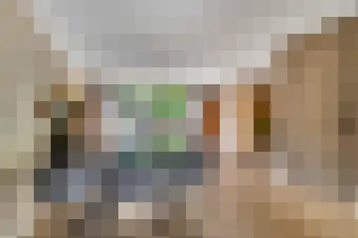 Spinozastate 43 Ede thumbnail 9