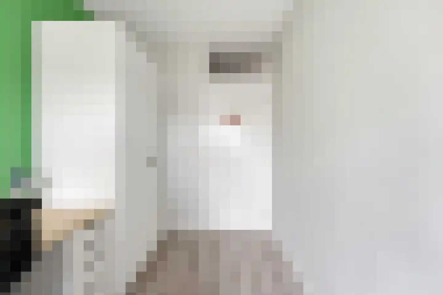 Spinozastraat 16 Ridderkerk thumbnail 21
