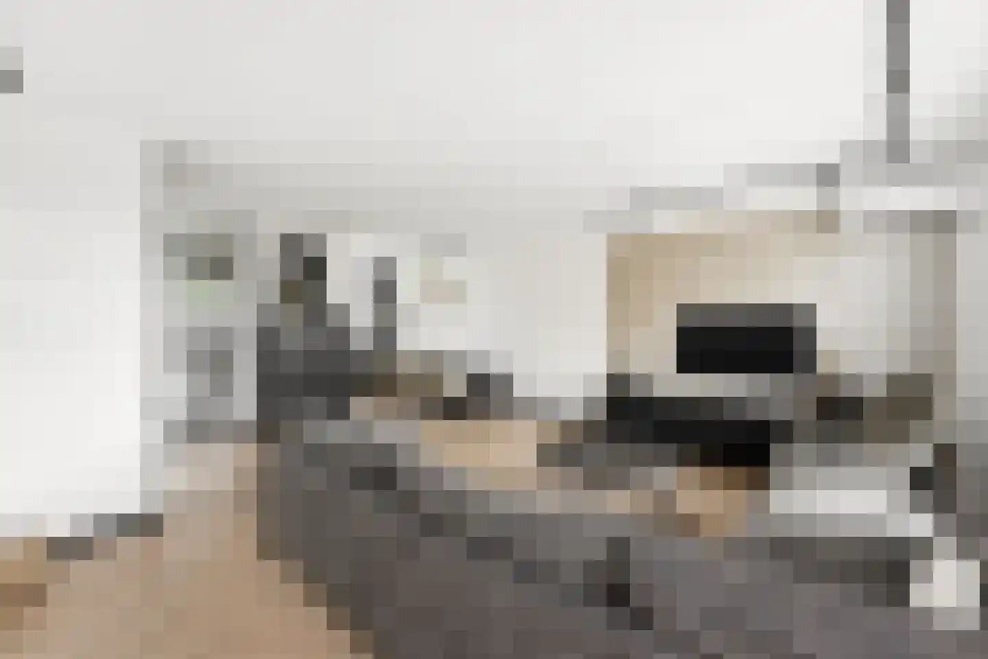 Spinozastraat 16 Ridderkerk thumbnail 4