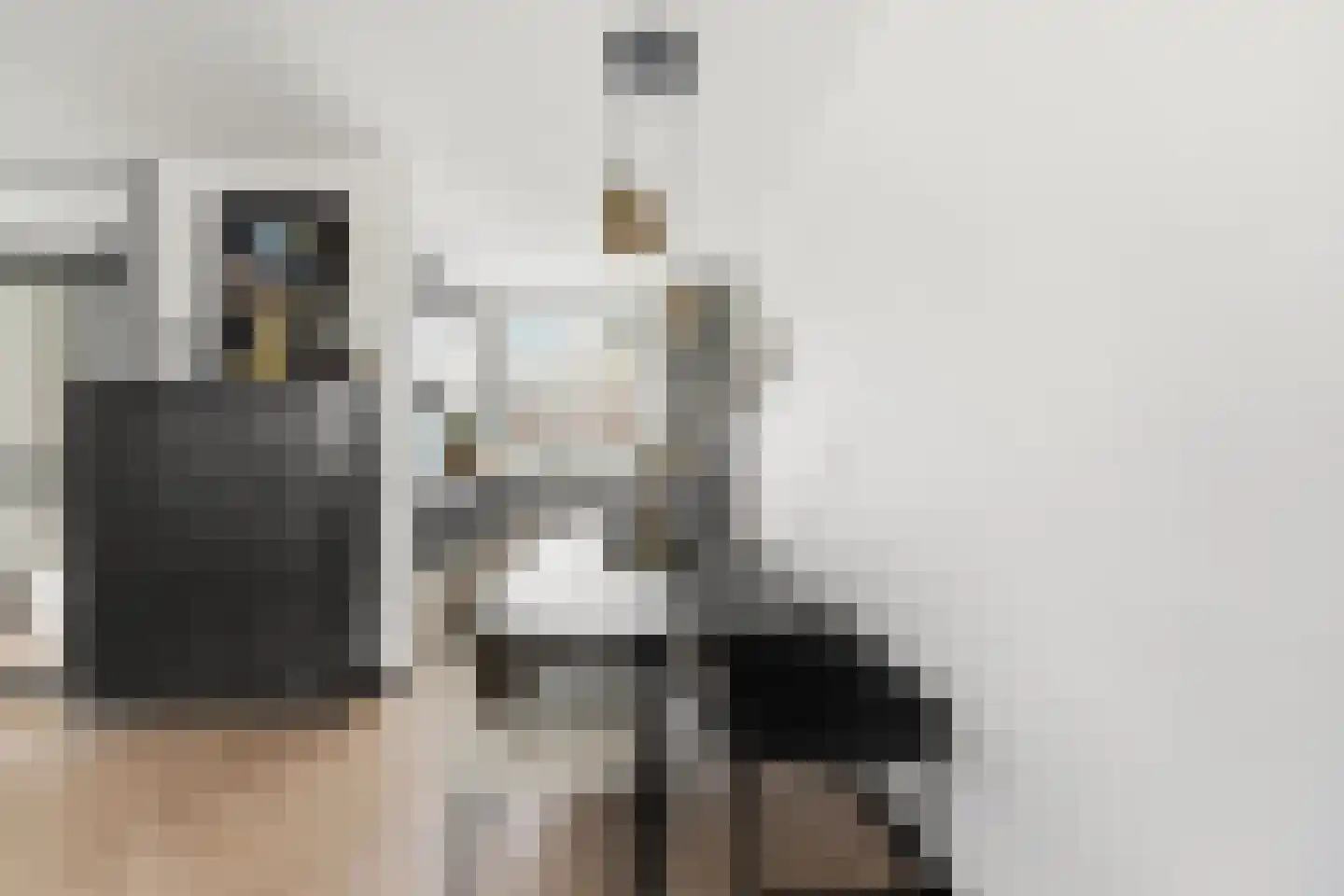 Spinozastraat 16 Ridderkerk thumbnail 8