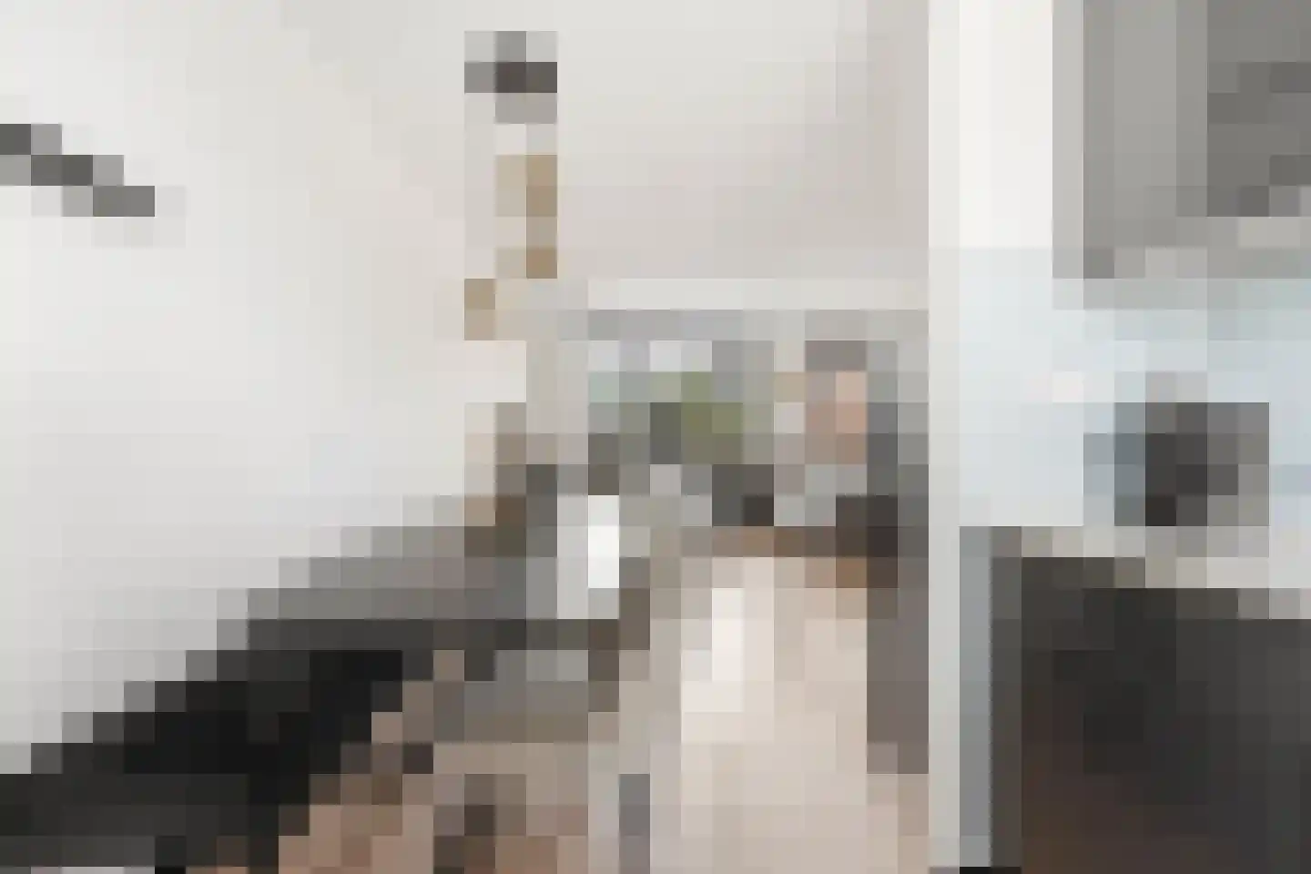 Spinozastraat 16 Ridderkerk thumbnail 9