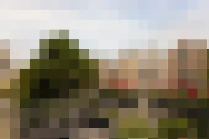 Spinozastraat 17 B Amsterdam thumbnail 17