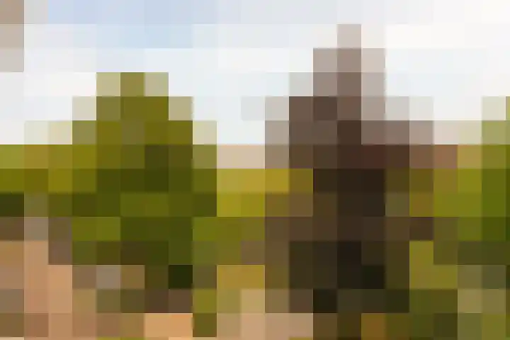Spinozastraat 17 B Amsterdam thumbnail 25