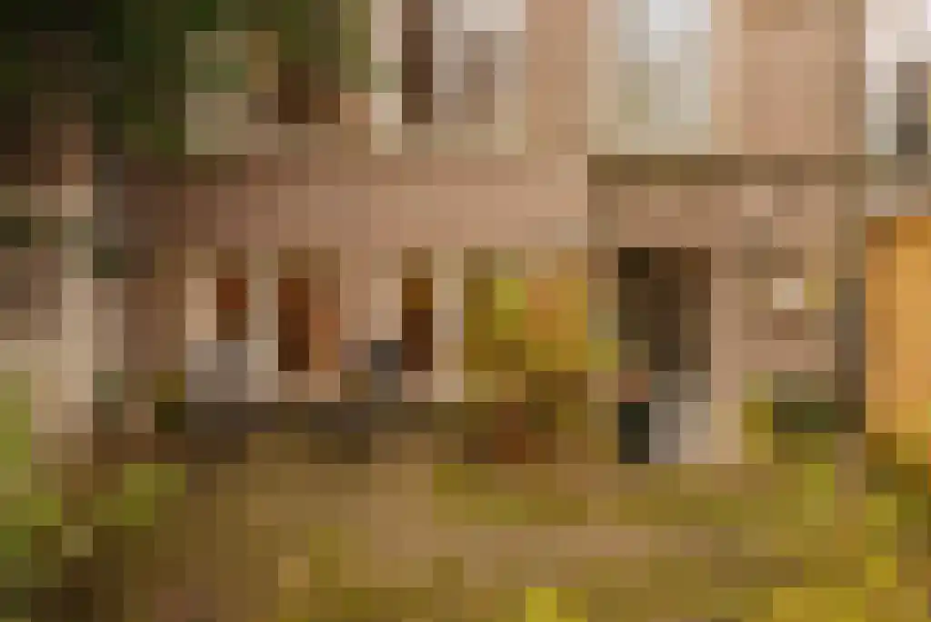 Spinozastraat 21 2 Amsterdam thumbnail 11