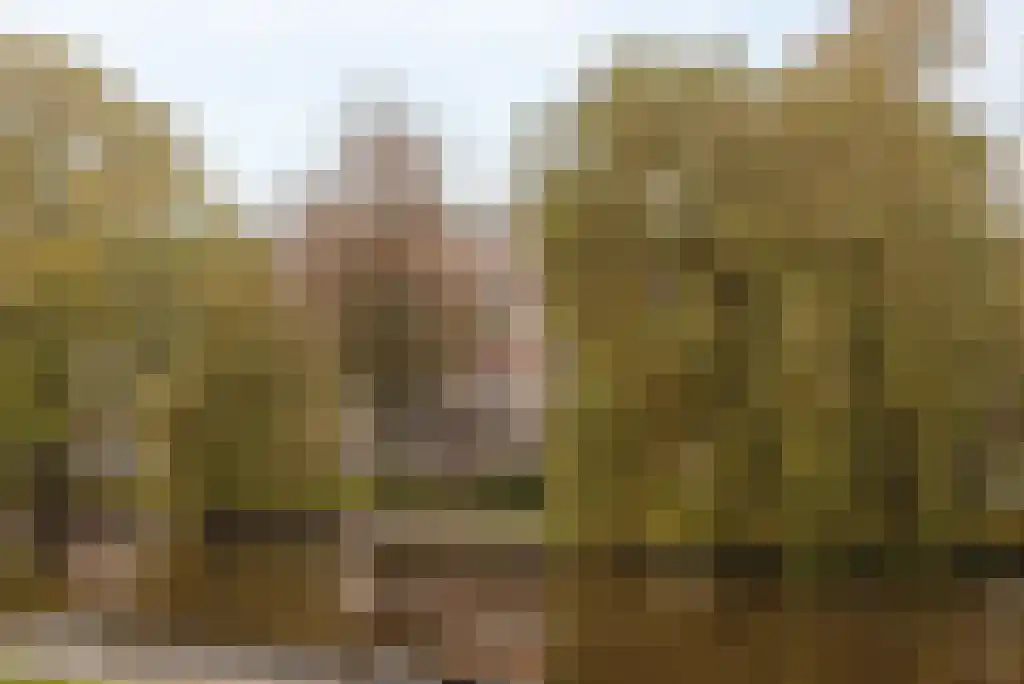 Spinozastraat 21 2 Amsterdam thumbnail 31