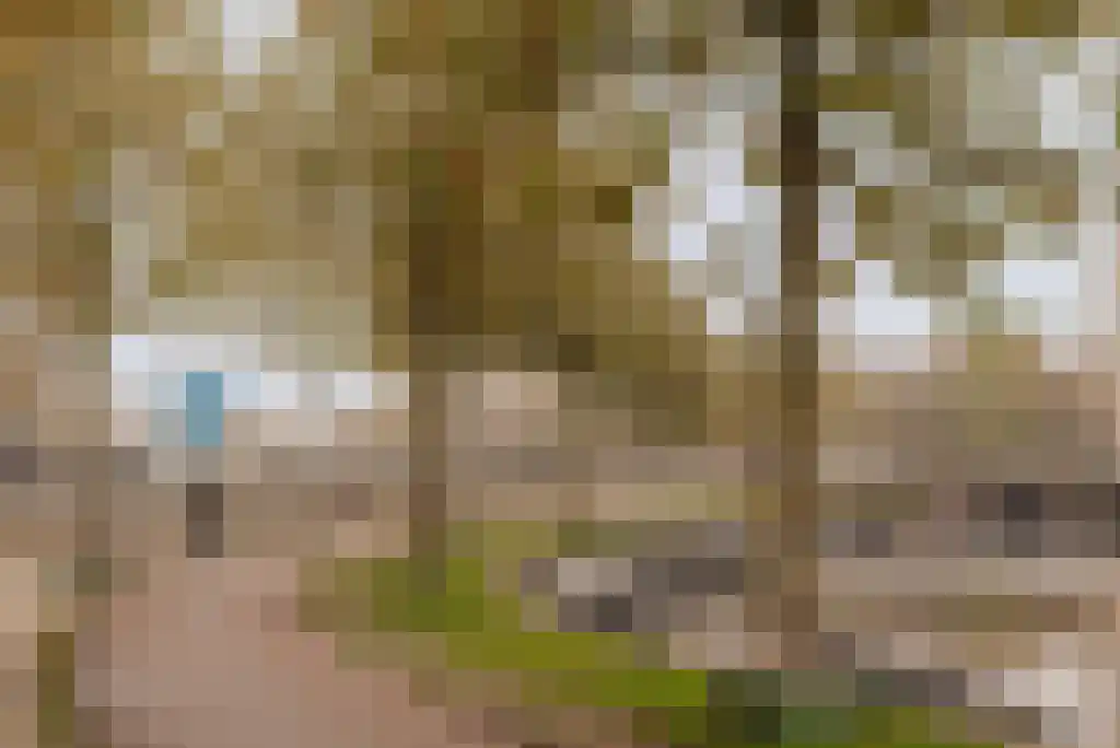 Spinozastraat 21 2 Amsterdam thumbnail 32