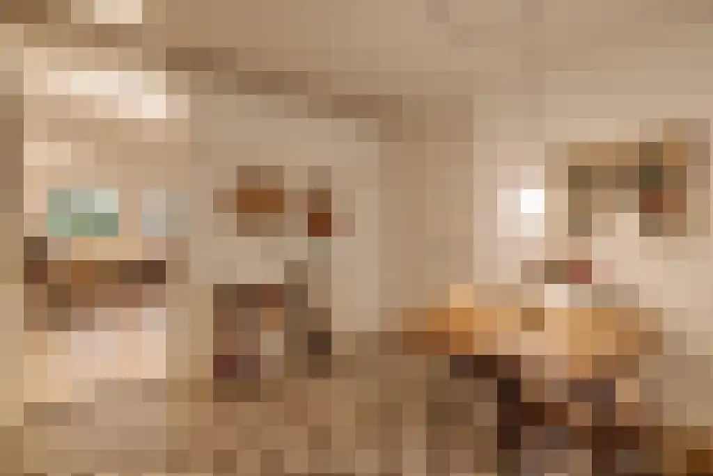Spinozastraat 21 2 Amsterdam thumbnail 7