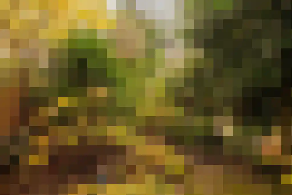 Spinozastraat 21 H Amsterdam thumbnail 12