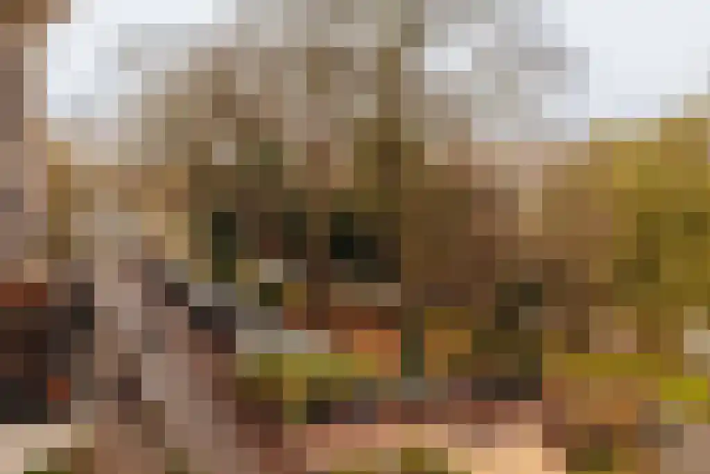 Spinozastraat 21 H Amsterdam thumbnail 21