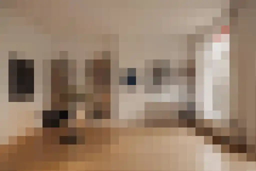 Spinozastraat 21 H Amsterdam thumbnail 24