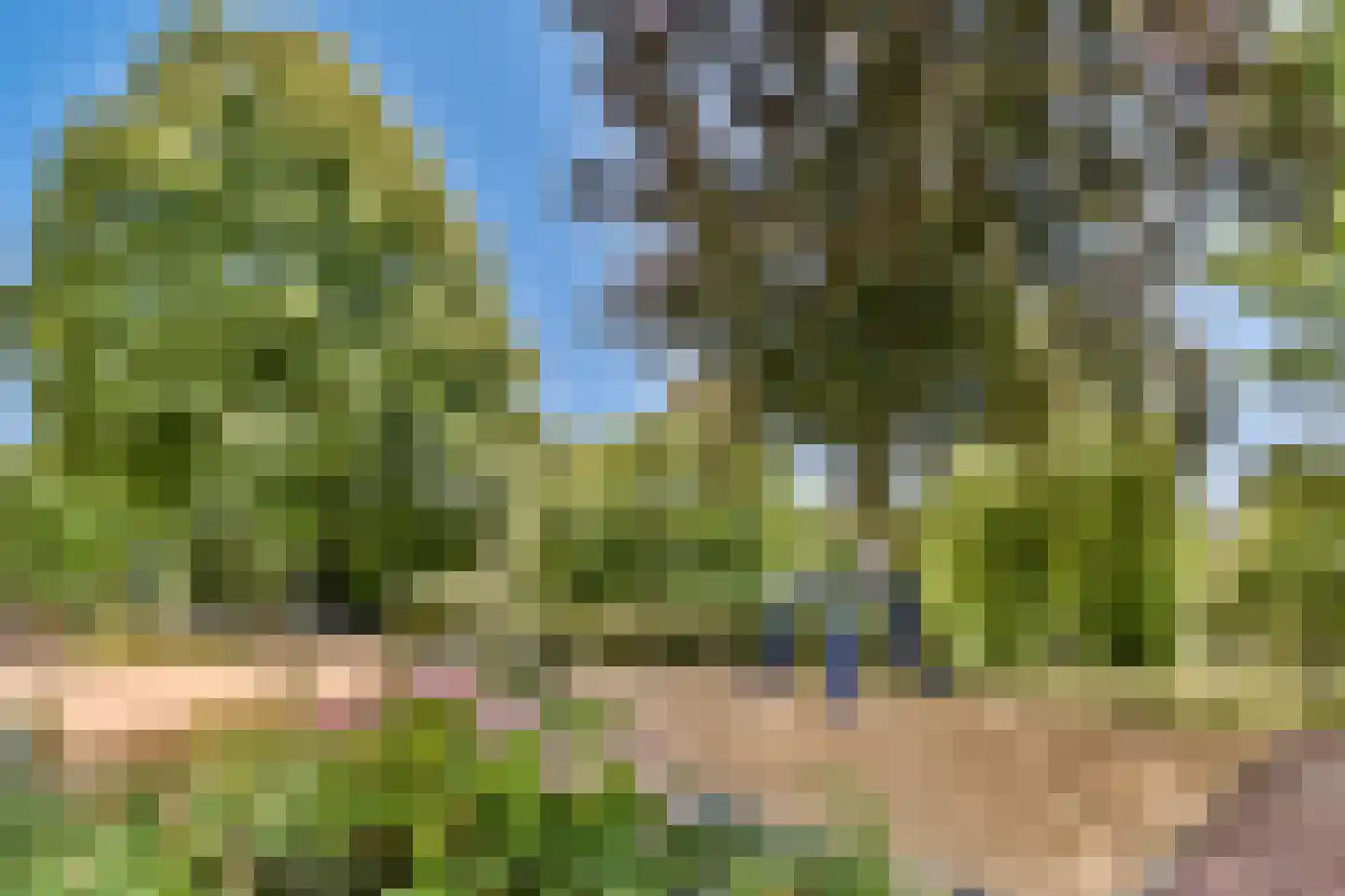 Spinozastraat 23 1 Amsterdam thumbnail 18