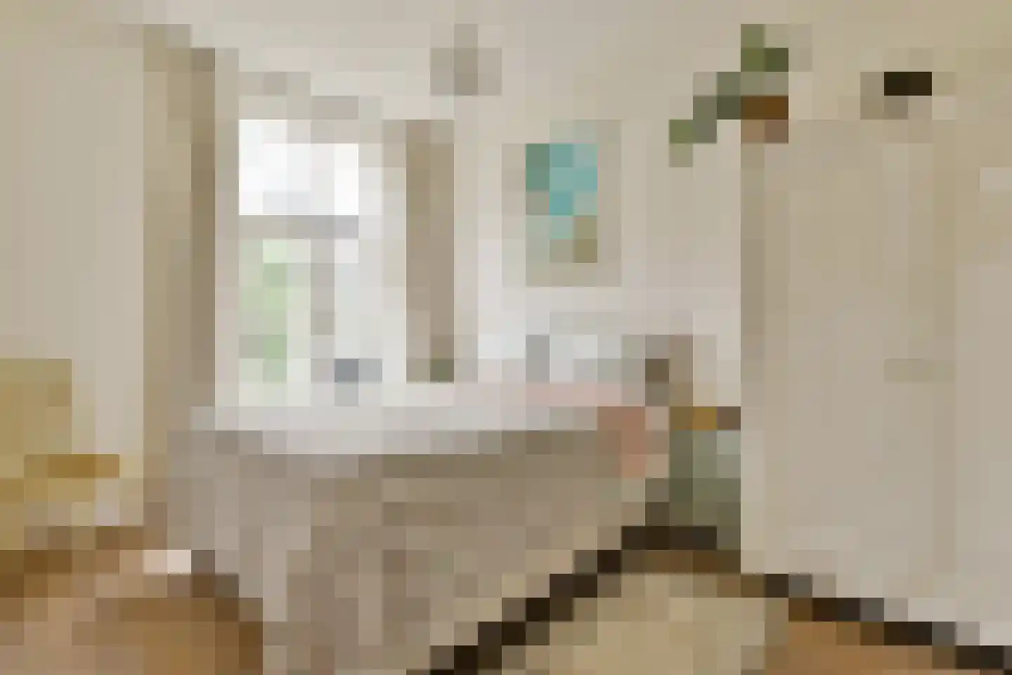 Spinozastraat 23 1 Amsterdam thumbnail 9