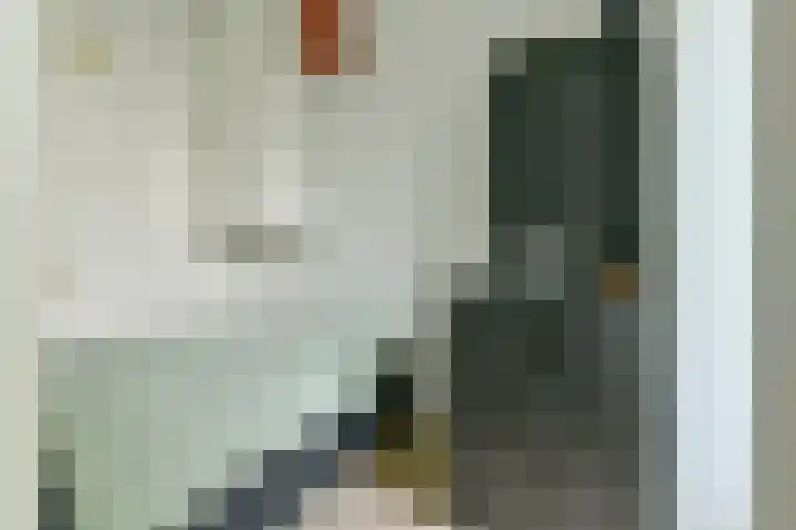Spinozastraat 37 D Amsterdam thumbnail 10