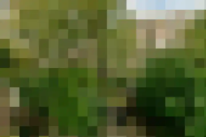 Spinozastraat 37 D Amsterdam thumbnail 13