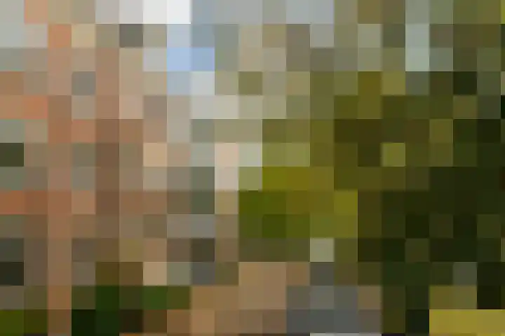 Spinozastraat 37 D Amsterdam thumbnail 15