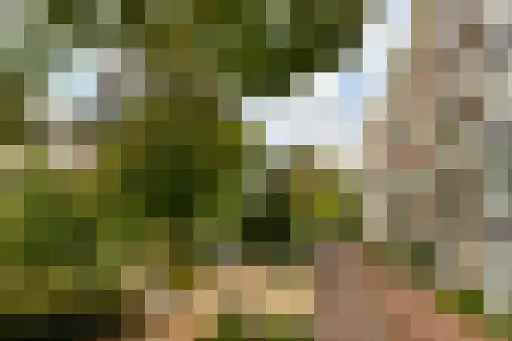 Spinozastraat 37 D Amsterdam thumbnail 16
