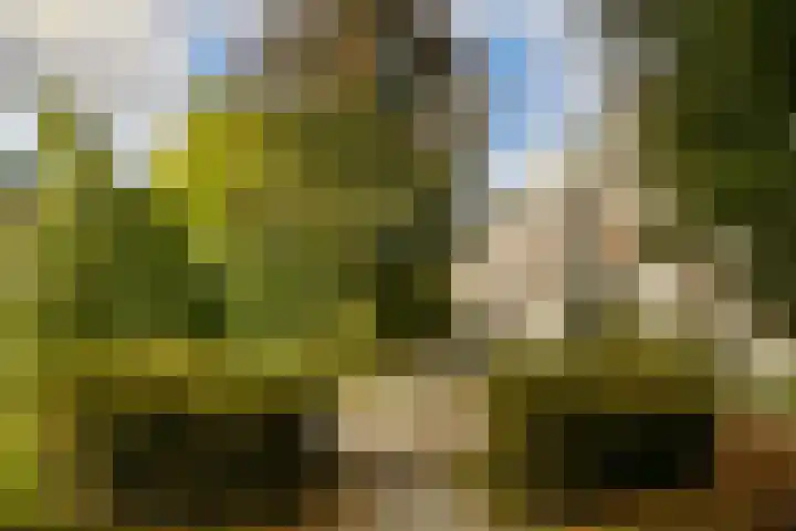 Spinozastraat 37 D Amsterdam thumbnail 17