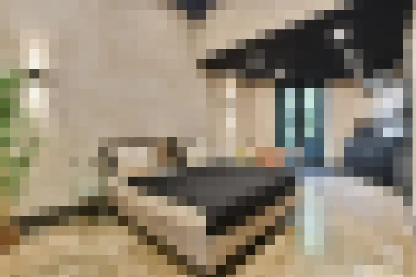 Spinozastraat 41 A Amsterdam thumbnail 53
