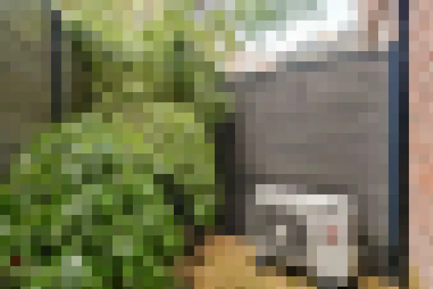 Spinozastraat 41 A Amsterdam thumbnail 56