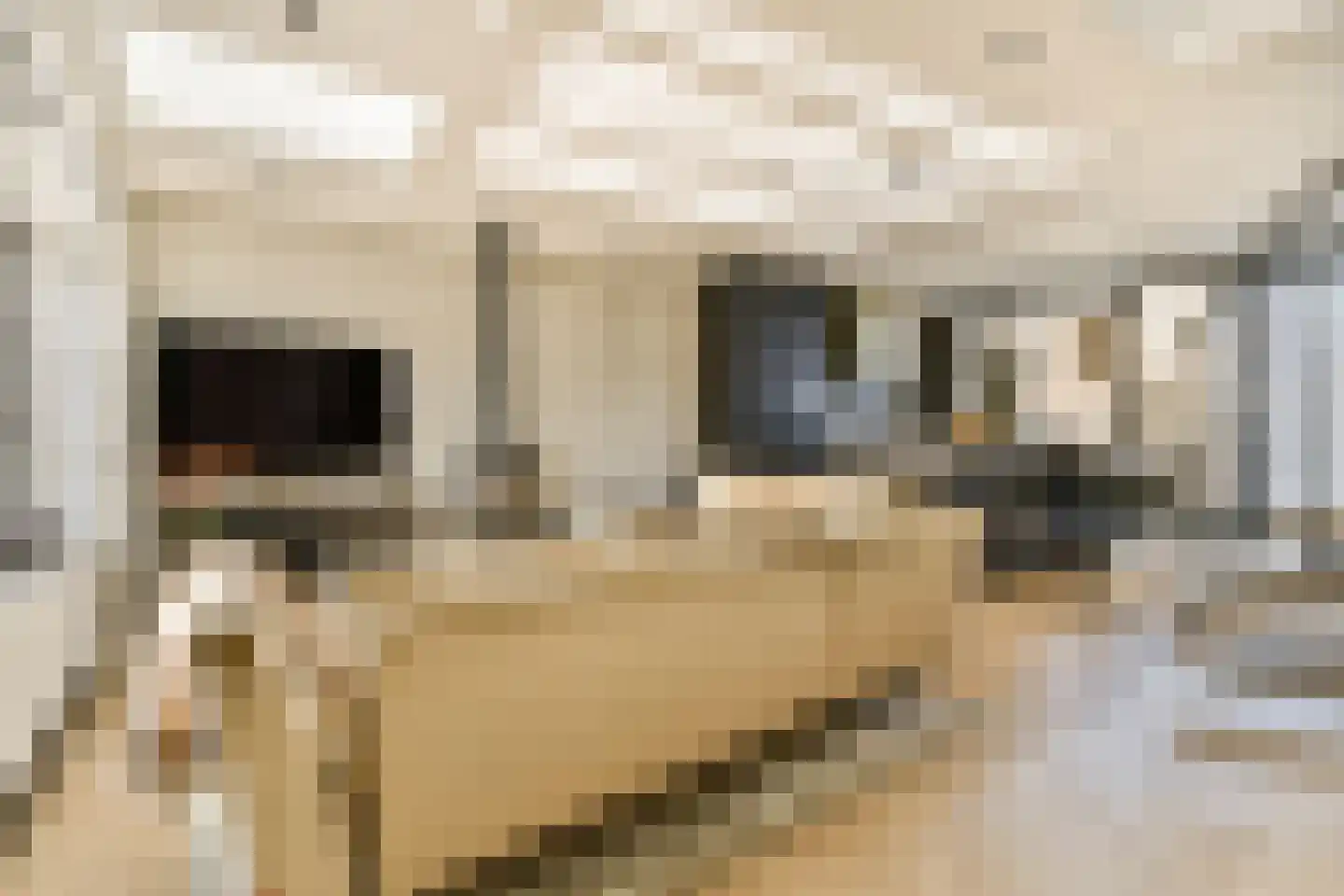 Spinozastraat 41 A Amsterdam thumbnail 6