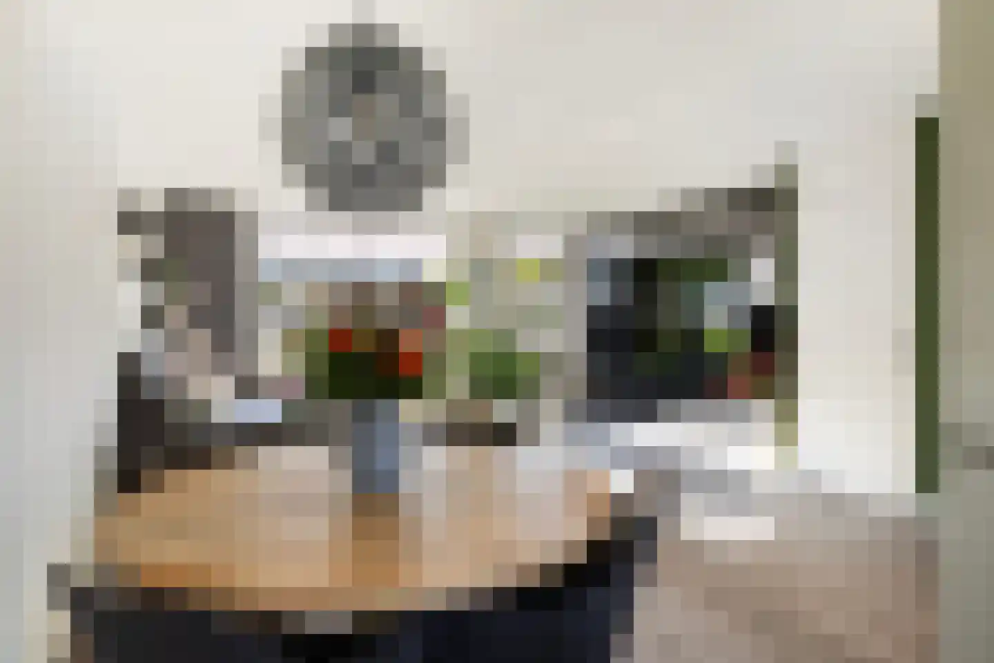 Spinozastraat 9 Ridderkerk thumbnail 17