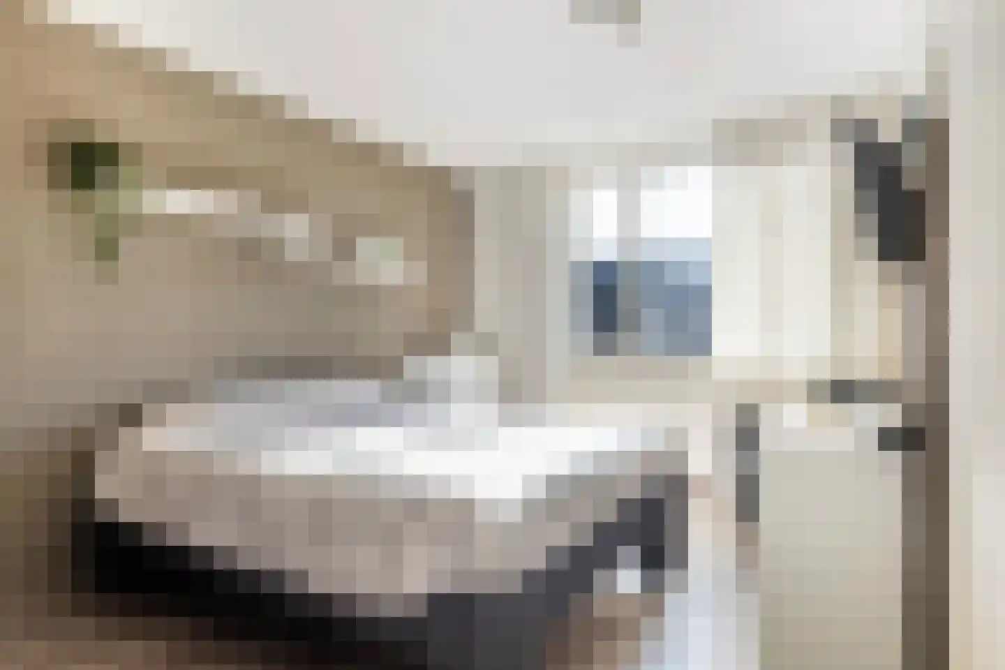Spinozastraat 9 Ridderkerk thumbnail 21