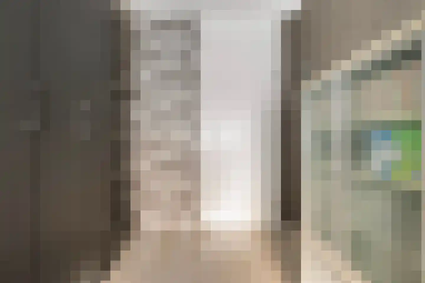 Spinozastraat 9 Ridderkerk thumbnail 26