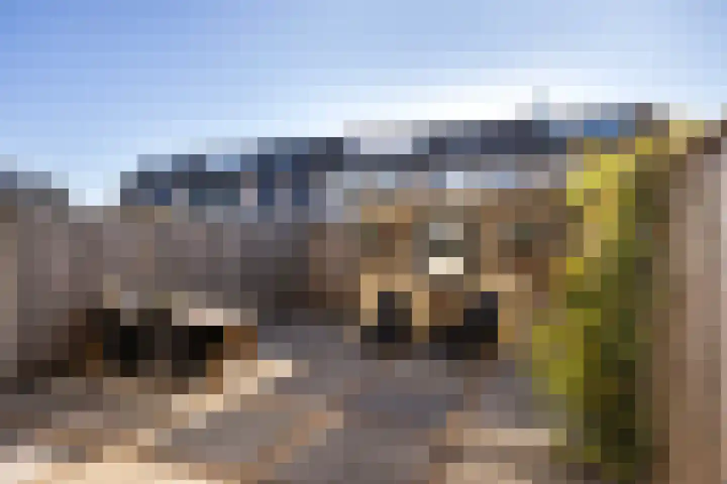 Spinozastraat 9 Ridderkerk thumbnail 34