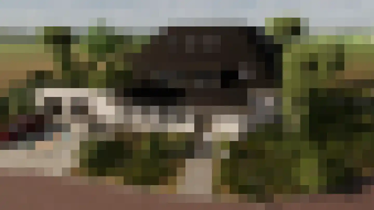 Spinozaweg 1 Noordwijk thumbnail 6