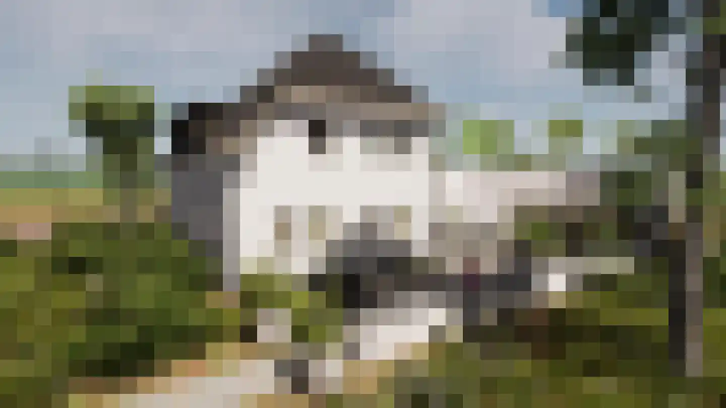 Spinozaweg 1 Noordwijk thumbnail 9