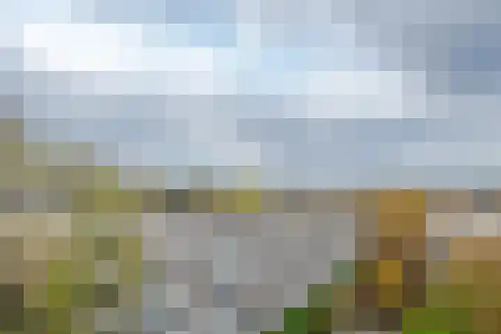 Spinozaweg 169 Rotterdam thumbnail 21
