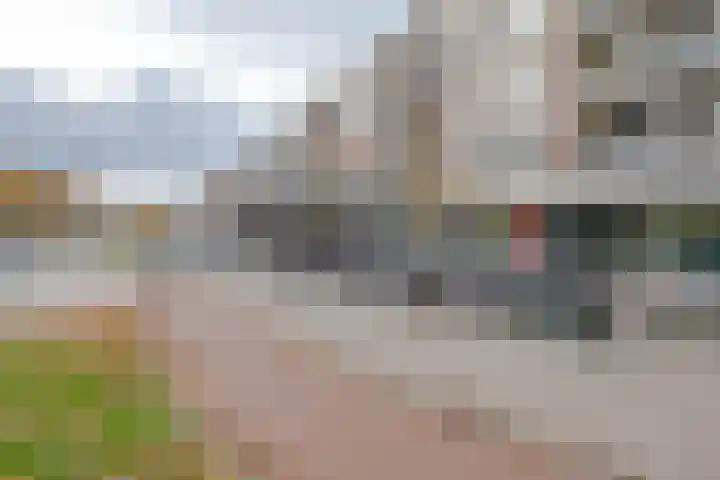 Spinozaweg 169 Rotterdam thumbnail 22