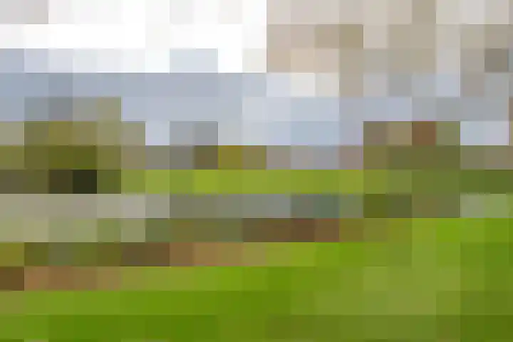 Spinozaweg 169 Rotterdam thumbnail 23