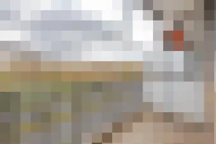 Spinozaweg 169 Rotterdam thumbnail 5