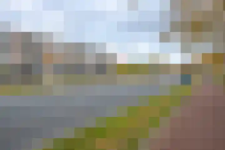 Spinozaweg 169 Rotterdam thumbnail 6