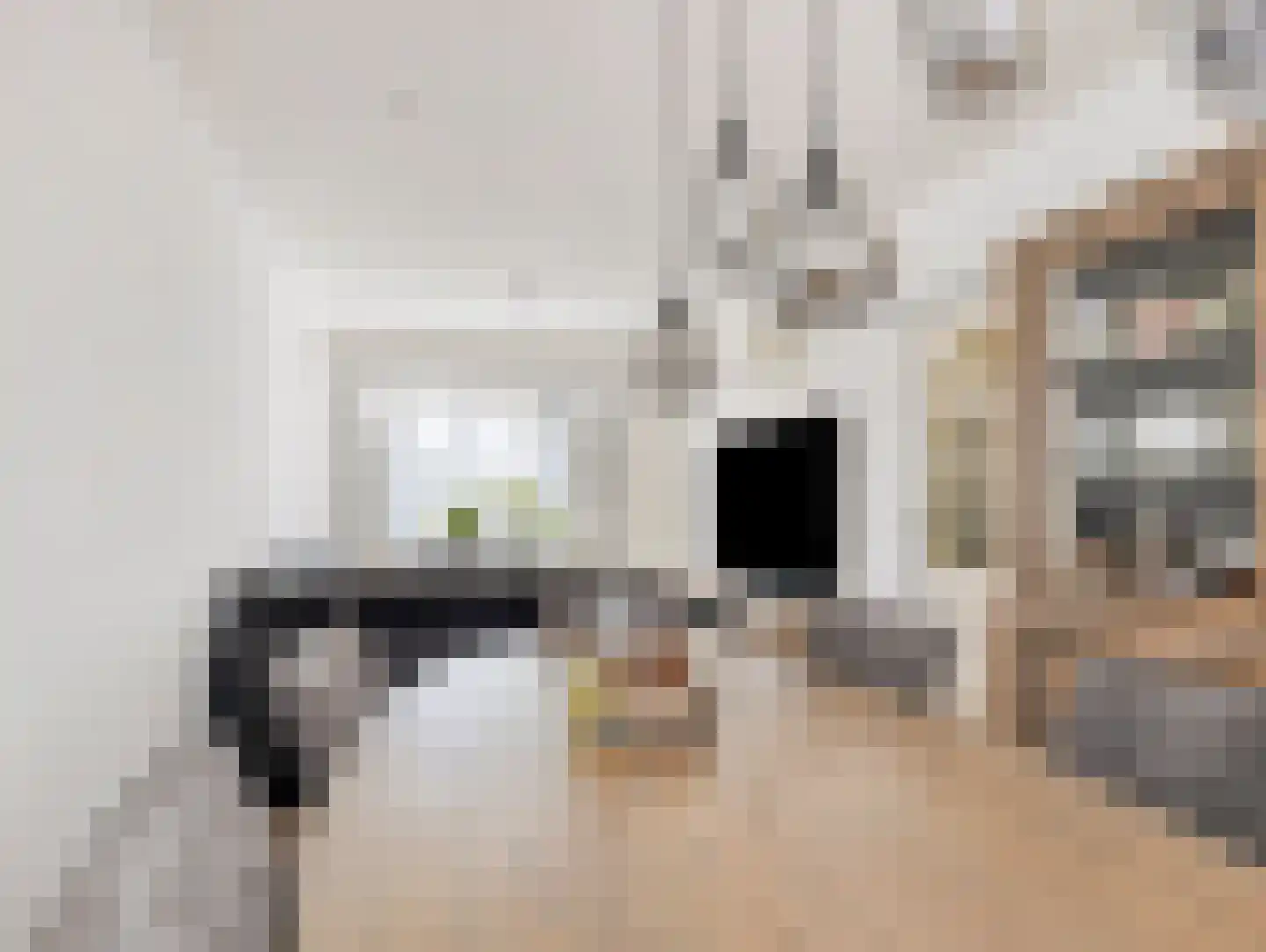 Spinozaweg 20 Utrecht thumbnail 11